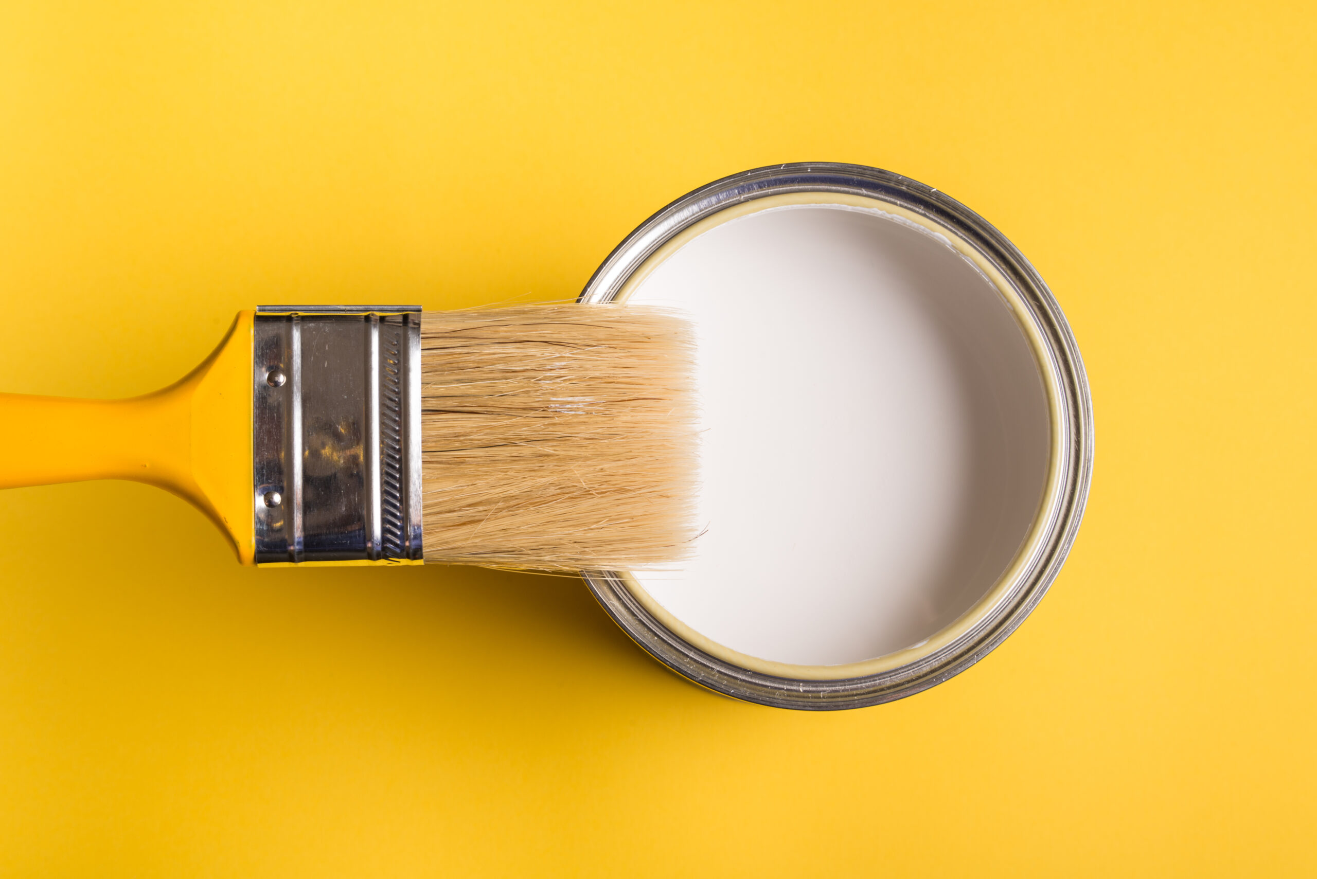 Understanding the Difference Between Water-Based and Oil-Based Paints: A Guide by Battleborn Painting in Reno, NV